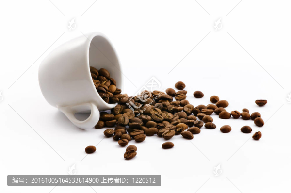 白杯咖啡豆分離