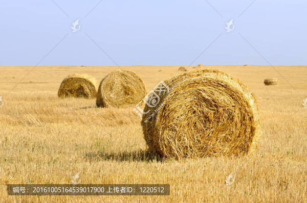 帶秸稈卷的田園景觀