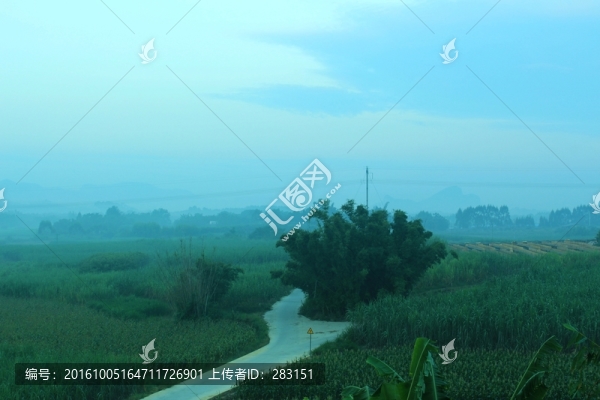家鄉(xiāng)的路