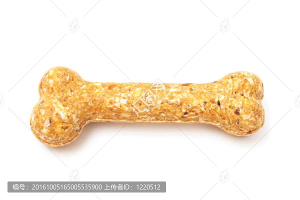 狗的骨頭