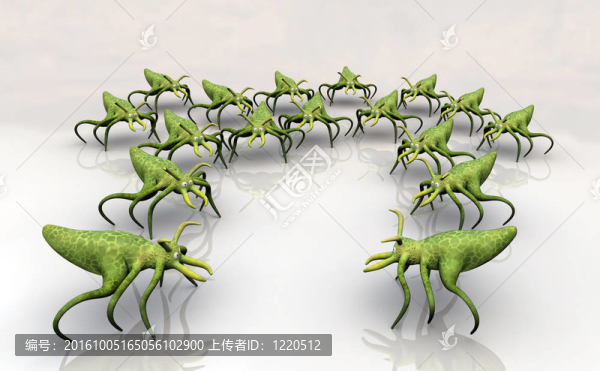 青蟲3d