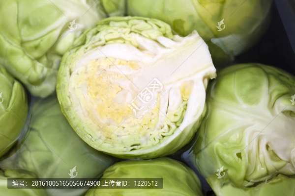 布魯塞爾豆芽