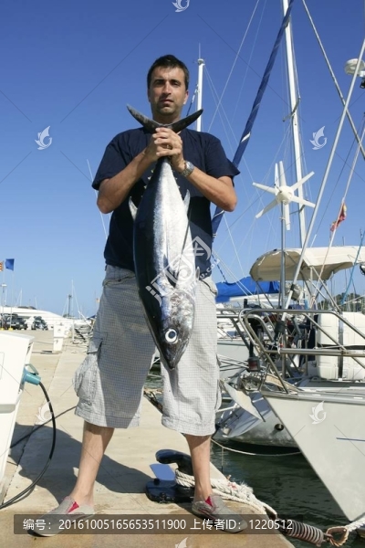 垂釣者釣魚大賽長鰭金槍魚在地中海
