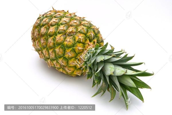 菠蘿09