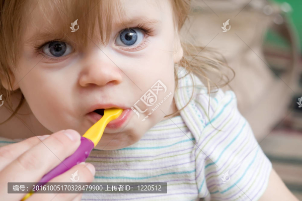 蹣跚學(xué)步的嬰兒讓她的新牙齒清潔