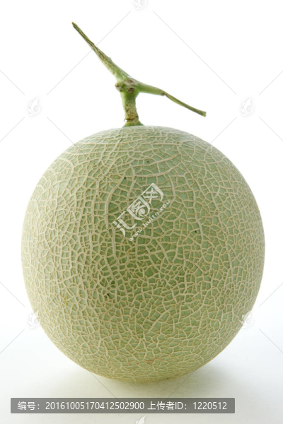 蜜瓜