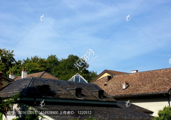 屋頂