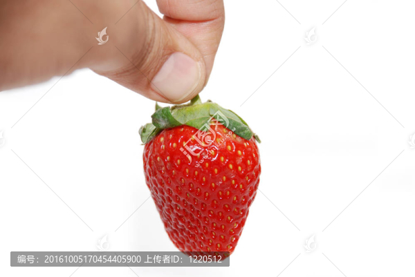 草莓