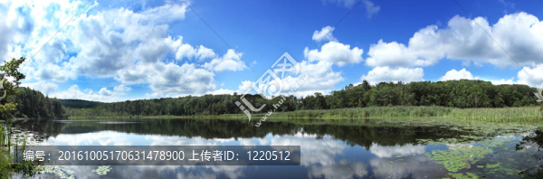 全景的池塘