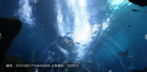 水族館