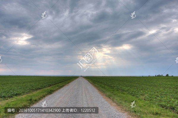 開放的道路