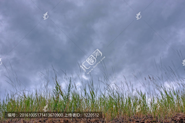 沙丘