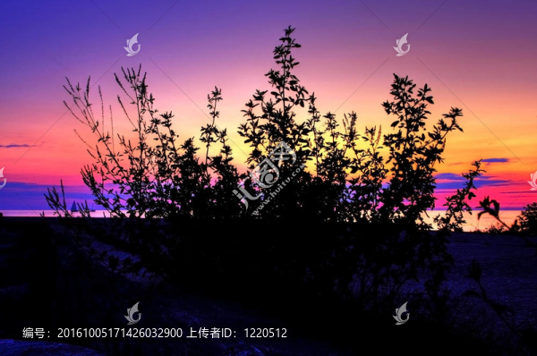 lakescape