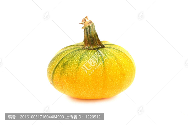 白色背景上的南瓜