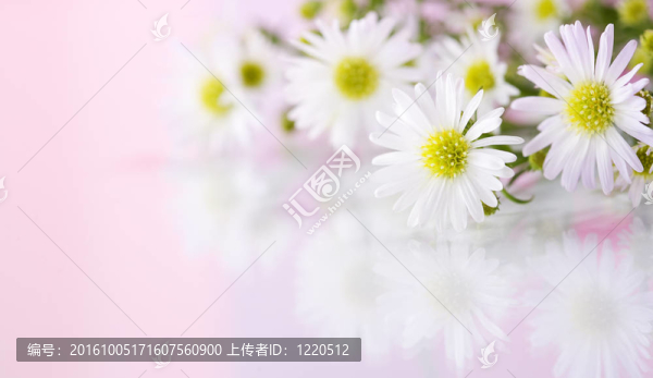 美麗的花朵背景