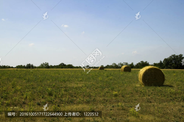場