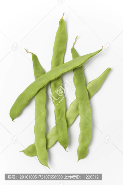 綠色的豆桿