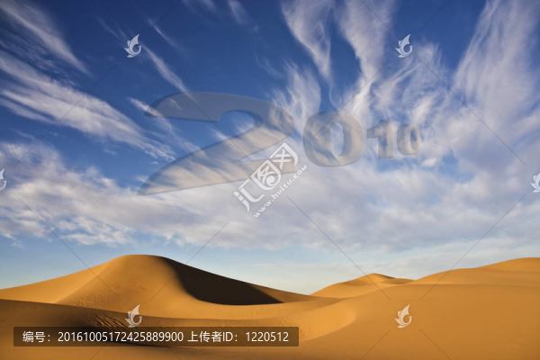 新的2010年與沙漠沙丘