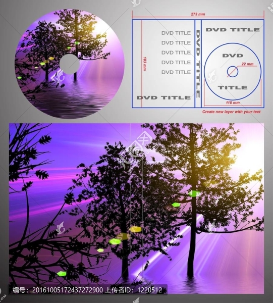 DVD標(biāo)簽和盒蓋設(shè)計模板。