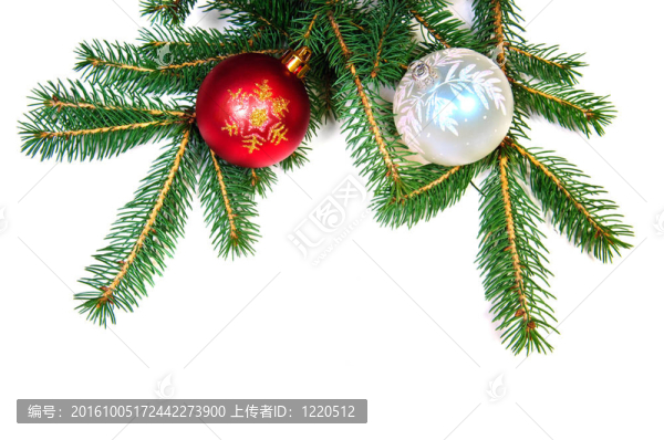 松樹(shù)枝上的圣誕球