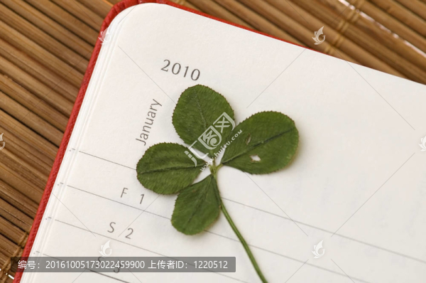 四三葉草和新的一年。一月2010。