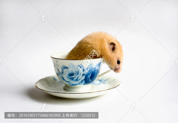 逃離的茶杯