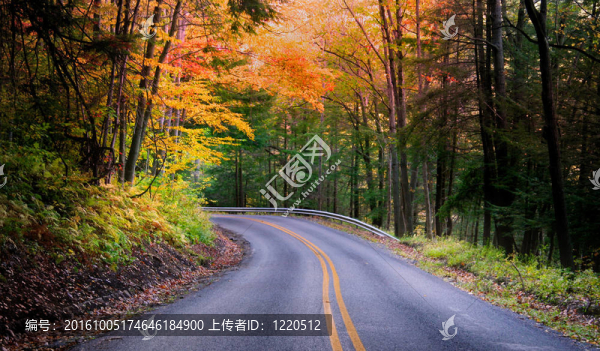 美麗的秋天驅(qū)動(dòng)