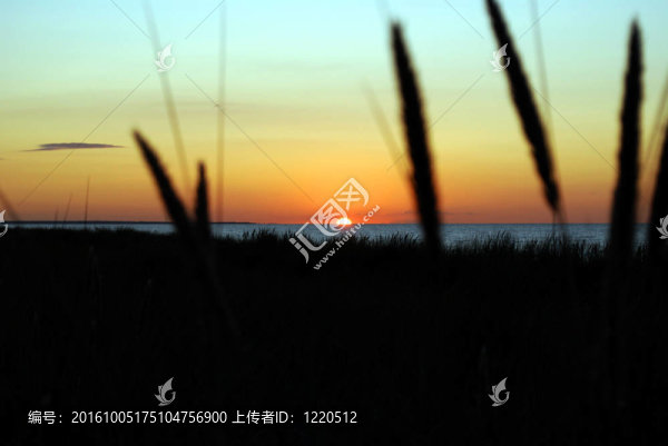 在波羅的海日落前的海灘草坪