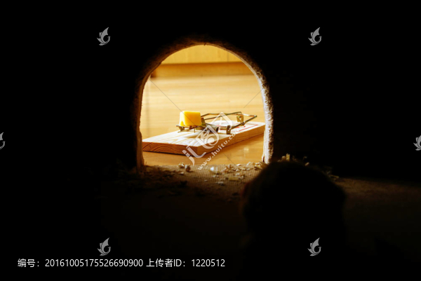 老鼠洞