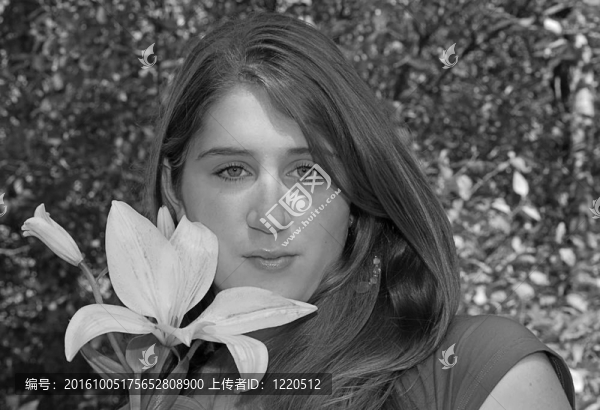 美麗的少年與White,Lily,Flower