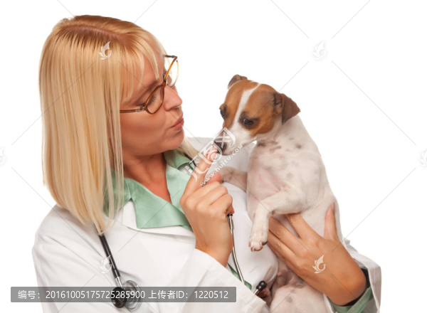 迷人的女醫(yī)生與小寵物獸醫(yī)