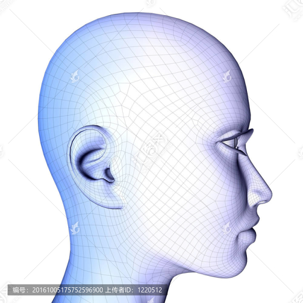 3D女性面框