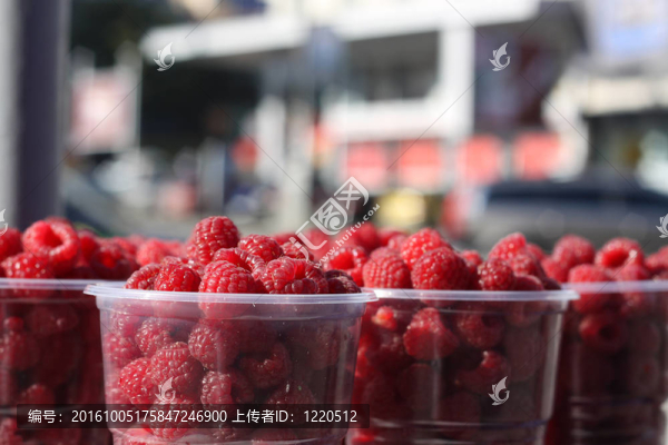 漿果