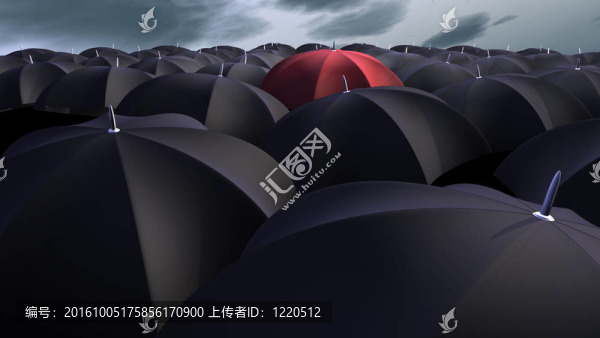 雨傘