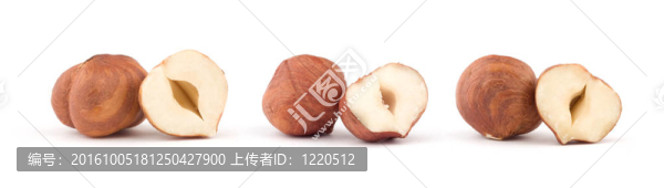 在白色背景的榛子