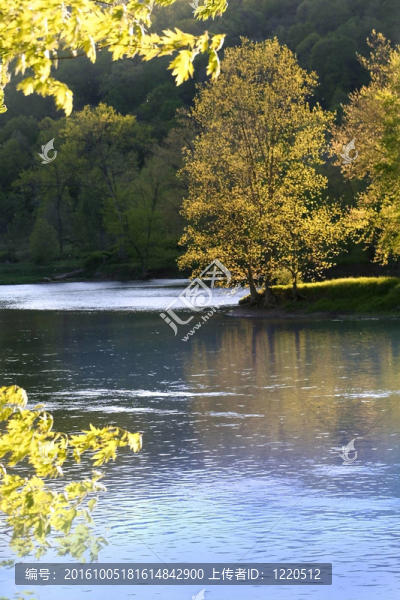 風(fēng)景景觀