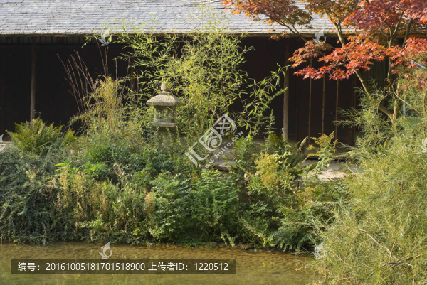 日本禮儀茶園
