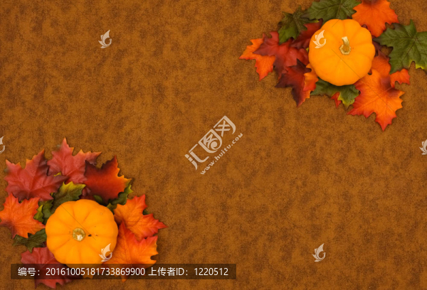 秋天的樹葉