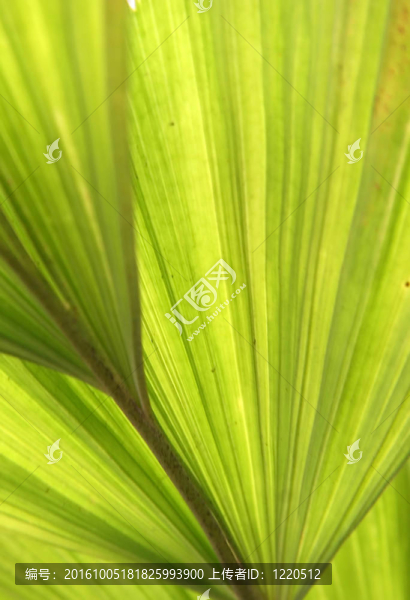 Bright,Green離開