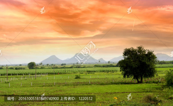 印度風(fēng)景