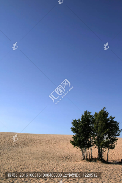 沙漠景觀