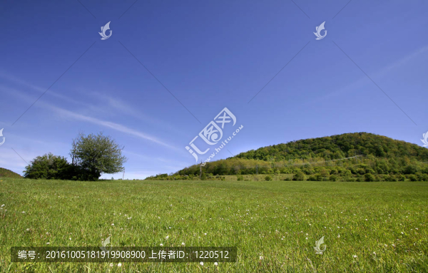 美麗的風景