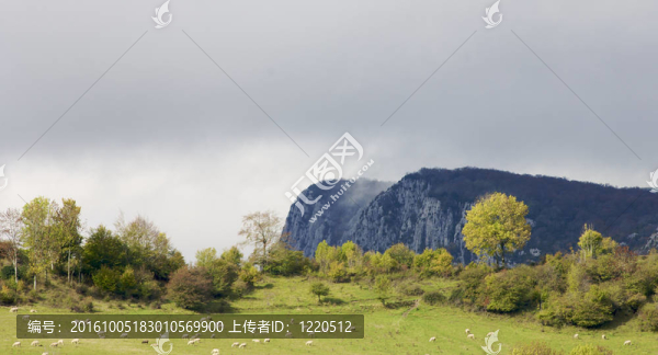 全景的山