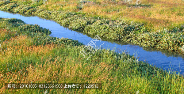 小溪和陽(yáng)光的田園詩(shī)般的草地