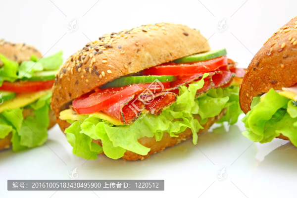 新鮮蔬菜三明治