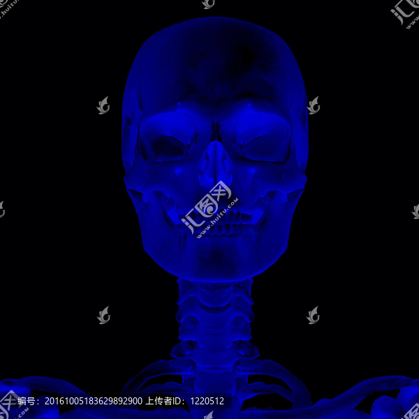 人體解剖學(xué)