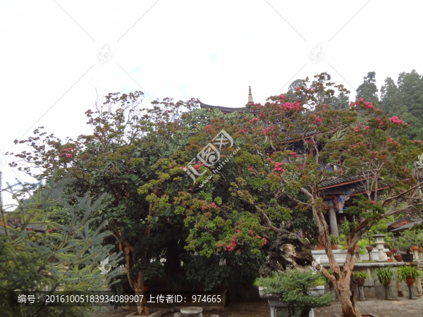 風(fēng)景拍攝