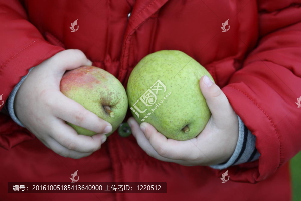 女孩與梨