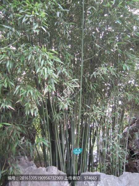 風(fēng)景拍攝