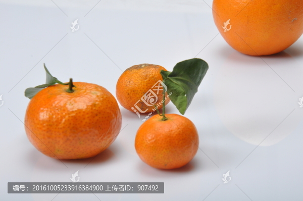 橘子